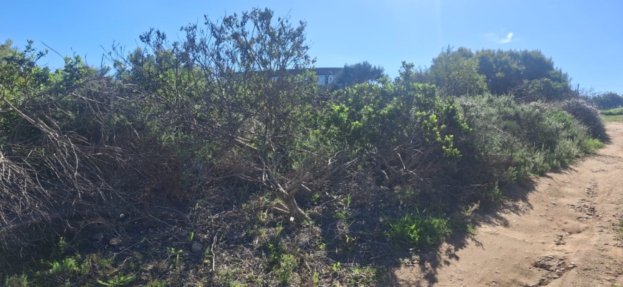 0 Bedroom Property for Sale in Hartenbos Heuwels Western Cape